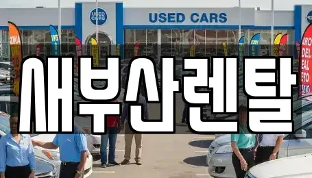 부산 금정구 회동동 렌트카 전문 새부산렌탈