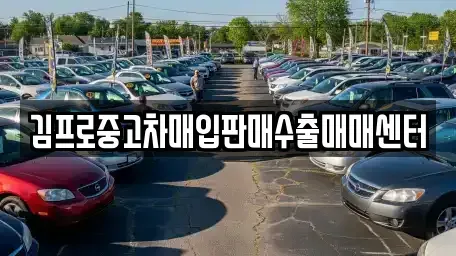 부산 사상구 감전동 중고차매입 전문 김프로중고차매입판매수출매매센터