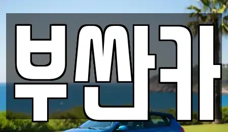 부산 사상구 중고차 전문 부싼카