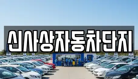 부산 사상구 중고차 전문 신사상자동차단지
