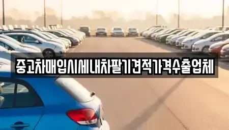 부산 사상구 중고차매입 전문 중고차매입시세내차팔기견적가격수출업체