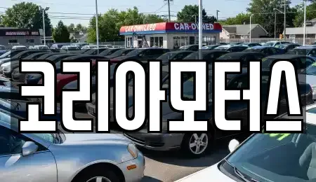 부산광역시 남구 용당동 중고차 전문 코리아모터스