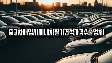 부산광역시 남구 용당동 중고차매입 전문 중고차매입시세내차팔기견적가격수출업체
