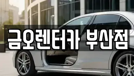 부산광역시 부산진구 전포동 장기렌트카 전문 금오렌터카 부산점