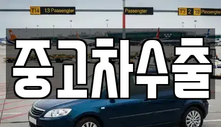 부산광역시 부산진구 전포동 중고차매입 전문 중고차수출