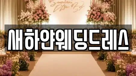 경기 안성시 석정동 스드메 지도 링크 7