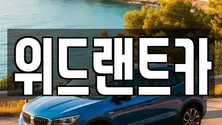 서울 서초구 신원동 단기렌트카 전문 위드랜트카