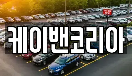 서울 서초구 신원동 렌트카 전문 케이밴코리아