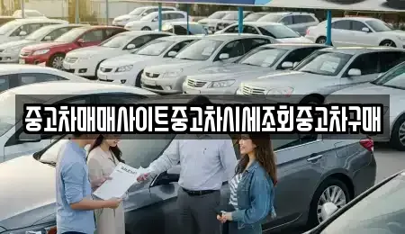 서울 서초구 신원동 중고차매매 전문 중고차매매사이트중고차시세조회중고차구매