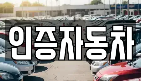 서울 성동구 하왕십리동 중고차 전문 인증자동차