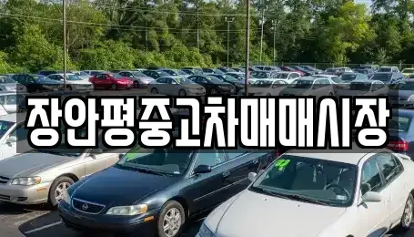 서울 성동구 하왕십리동 중고차 전문 장안평중고차매매시장