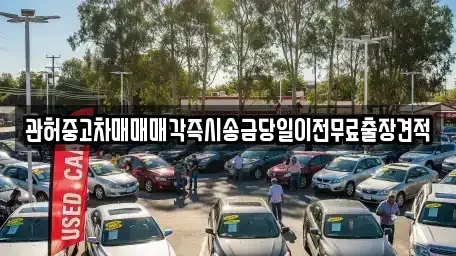 서울 성북구 보문동1가 중고차 전문 관허중고차매매매각즉시송금당일이전무료출장견적