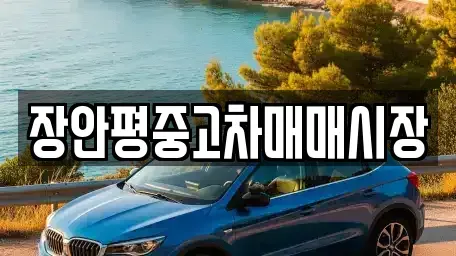 서울 성북구 보문동1가 중고차 전문 장안평중고차매매시장