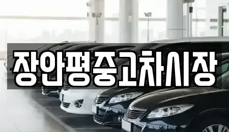 서울 성북구 보문동1가 중고차 전문 장안평중고차시장