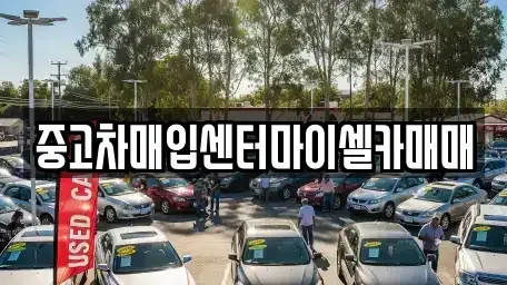 서울 성북구 보문동1가 중고차매입 전문 중고차매입센터마이셀카매매