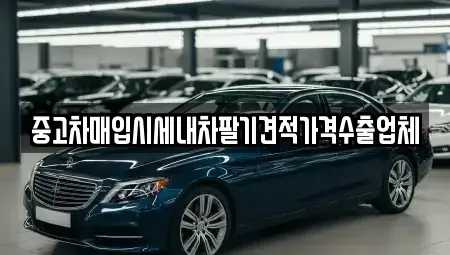 서울 성북구 보문동1가 중고차매입 전문 중고차매입시세내차팔기견적가격수출업체