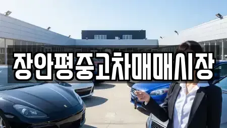 서울 영등포구 당산동5가 중고차매매 전문 장안평중고차매매시장