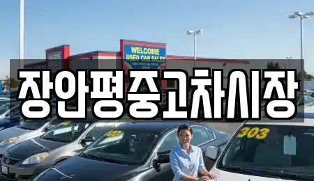 서울 영등포구 당산동5가 중고차매매 전문 장안평중고차시장