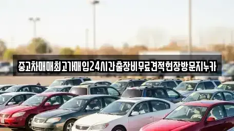 서울 영등포구 당산동5가 중고차매입 전문 중고차매매최고가매입24시간출장비무료견적현장방문지누카