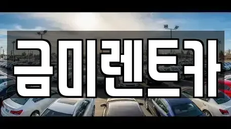 서울 영등포구 영등포동3가 렌트카 전문 금미렌트카