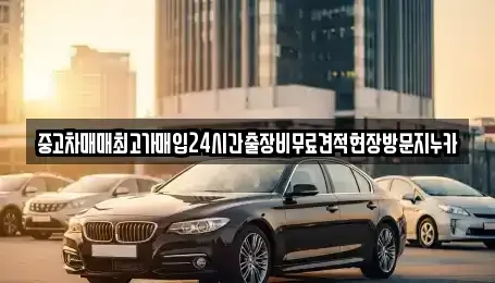 서울 용산구 청파동1가 중고차매매 전문 중고차매매최고가매입24시간출장비무료견적현장방문지누카