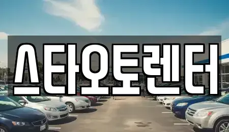 서울 중구 광희동2가 렌트카 전문 스타오토렌터