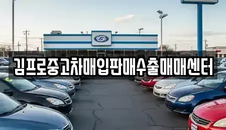 서울 중구 광희동2가 중고차매입 전문 김프로중고차매입판매수출매매센터