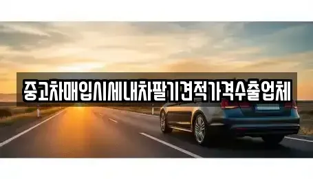 서울 중구 광희동2가 중고차매입 전문 중고차매입시세내차팔기견적가격수출업체