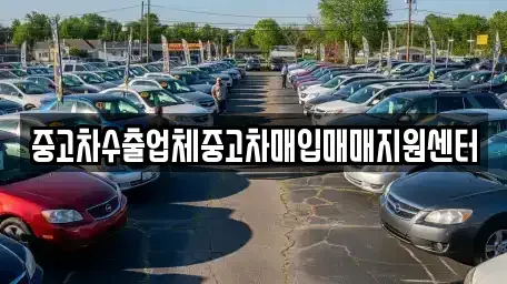 서울 중구 광희동2가 중고차매입 전문 중고차수출업체중고차매입매매지원센터