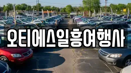 서울 중구 무교동 렌트카 전문 오티에스일흥여행사