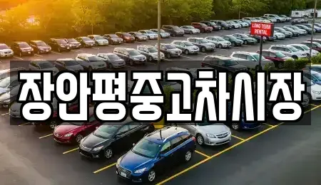 서울 중구 무교동 중고차 전문 장안평중고차시장