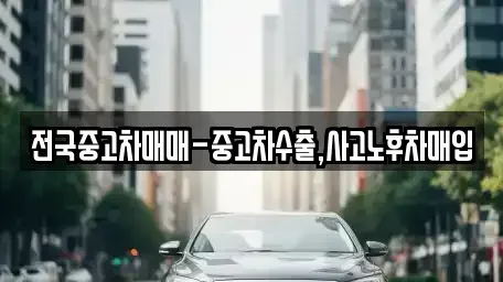 서울 중구 무교동 중고차 전문 전국중고차매매-중고차수출,사고노후차매입