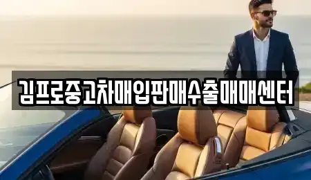 서울 중구 무교동 중고차매입 전문 김프로중고차매입판매수출매매센터