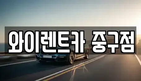서울 중구 흥인동 렌트카 전문 와이렌트카 중구점