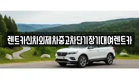 서울 중구 흥인동 장기렌트카 전문 렌트카신차외제차중고차단기장기대여렌트카