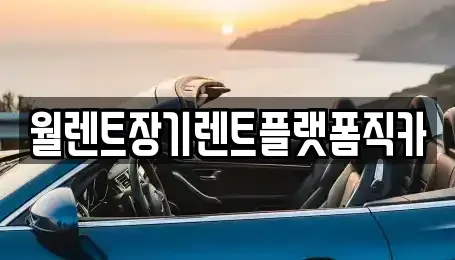 서울 중구 흥인동 장기렌트카 전문 월렌트장기렌트플랫폼직카