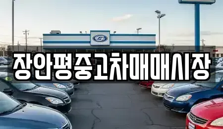 서울 중구 흥인동 중고차 전문 장안평중고차매매시장