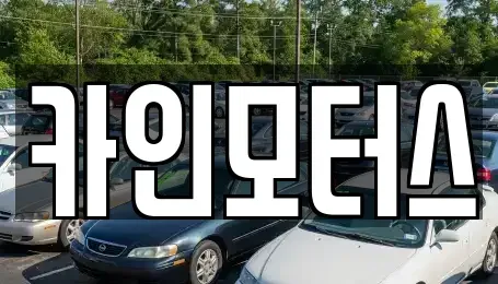 서울 중구 흥인동 중고차 전문 카인모터스
