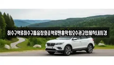 서울 중구 흥인동 중고차 전문 하수구역류하수구뚫음정화조역류맨홀막힘오수관고압세척내시경