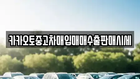 서울 중구 흥인동 중고차매입 전문 카카오토중고차매입매매수출판매시세