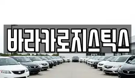서울특별시 동대문구 답십리동 중고차매매 전문 바라카로지스틱스