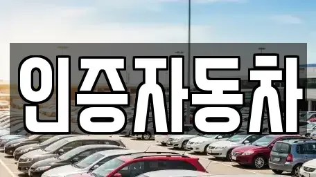 서울특별시 동대문구 용두동 중고차 전문 인증자동차