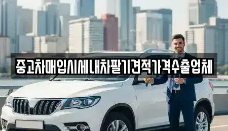 서울특별시 동대문구 용두동 중고차 전문 중고차매입시세내차팔기견적가격수출업체