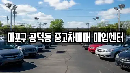 서울특별시 마포구 마포동 중고차 전문 마포구 공덕동 중고차매매 매입센터