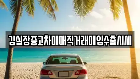 서울특별시 마포구 마포동 중고차매입 전문 김실장중고차매매직거래매입수출시세