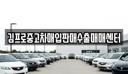 서울특별시 마포구 마포동 중고차매입 전문 김프로중고차매입판매수출매매센터