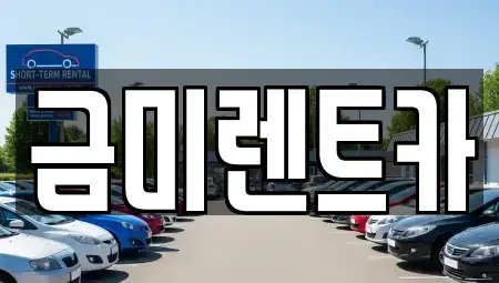서울특별시 마포구 연남동 렌트카 전문 금미렌트카