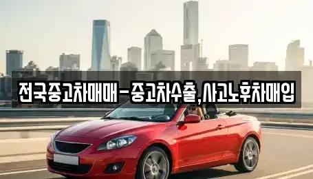 서울특별시 마포구 연남동 중고차 전문 전국중고차매매-중고차수출,사고노후차매입