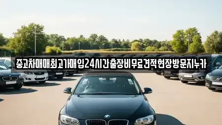 서울특별시 마포구 연남동 중고차 전문 중고차매매최고가매입24시간출장비무료견적현장방문지누카