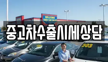 서울특별시 마포구 연남동 중고차 전문 중고차수출시세상담